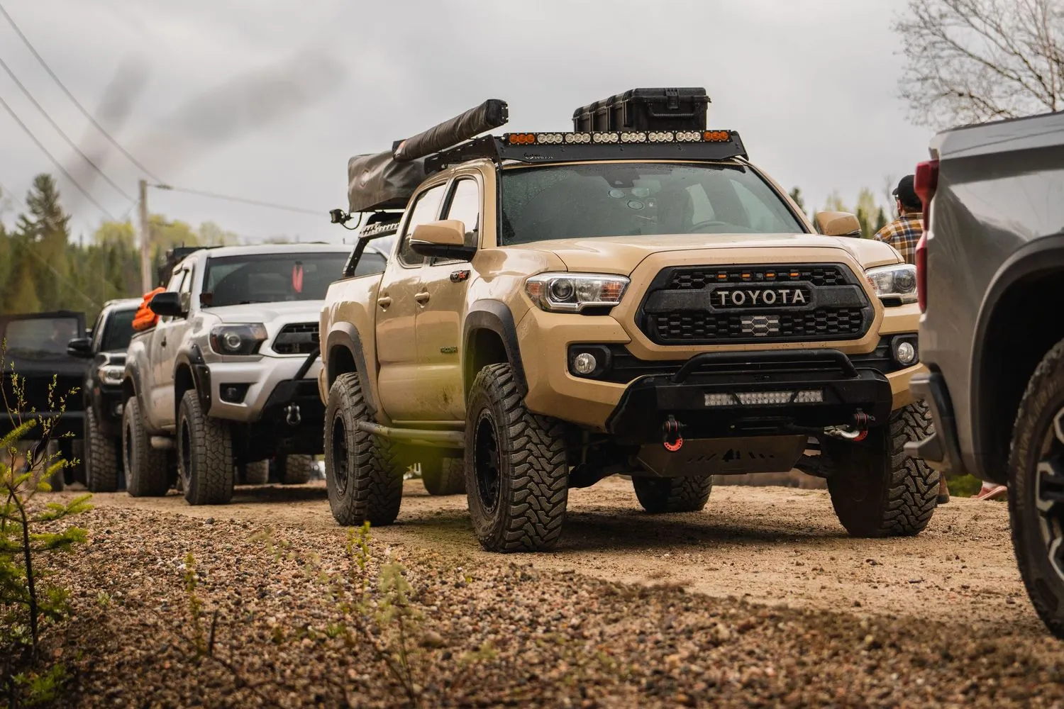 Camions Toyota Tacoma modifiés lors d’un rassemblement